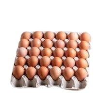 Egg 1 Tray